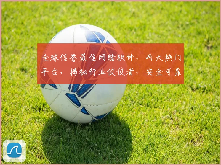全球信誉最佳网赌软件，两大热门平台，揭秘行业佼佼者，安全可靠之选