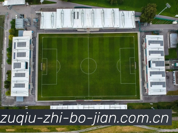 数据分析功能